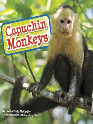 cover image of Capuchin Monkeys